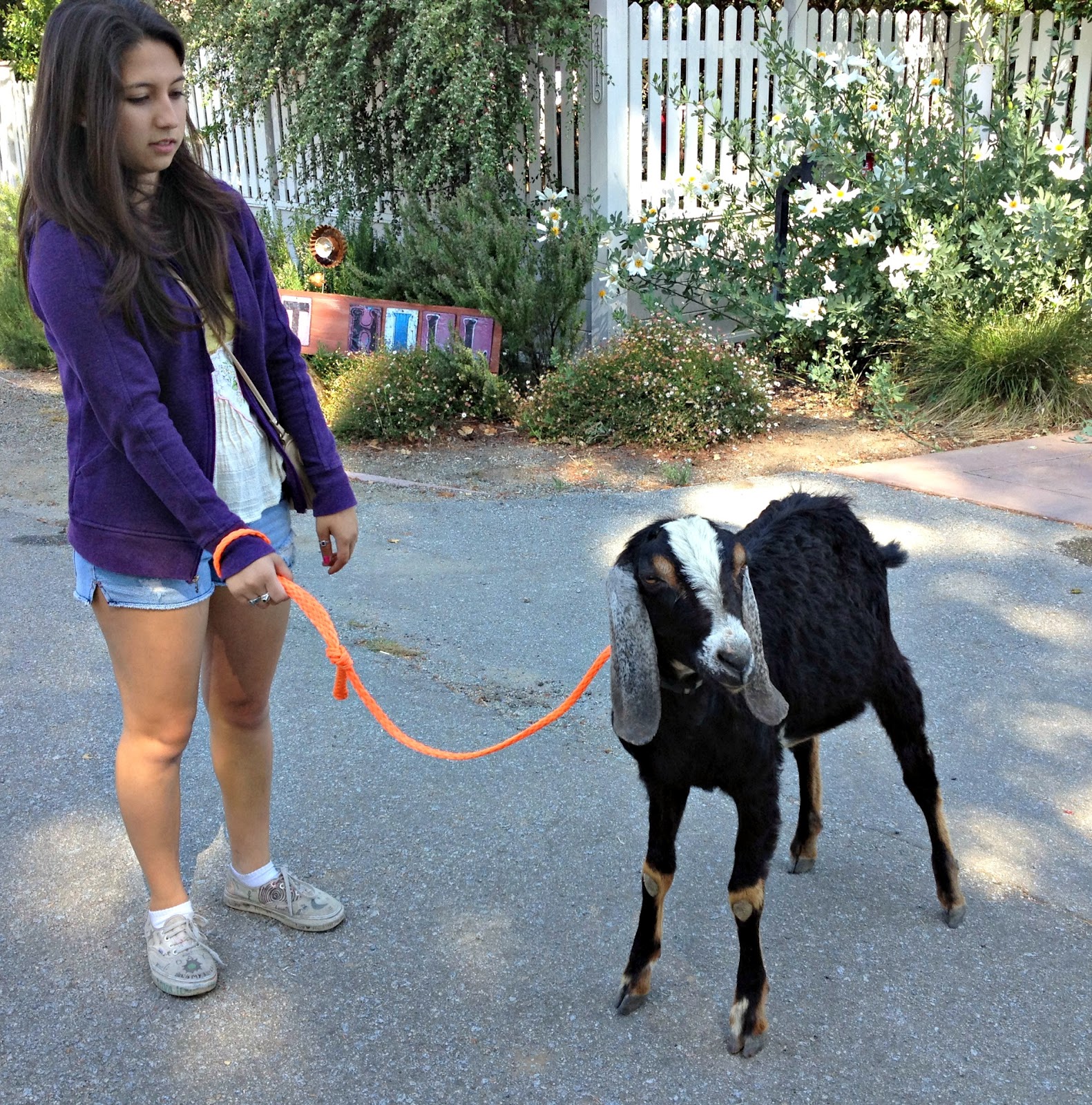Perfectly Printed Goat Hill Farm!