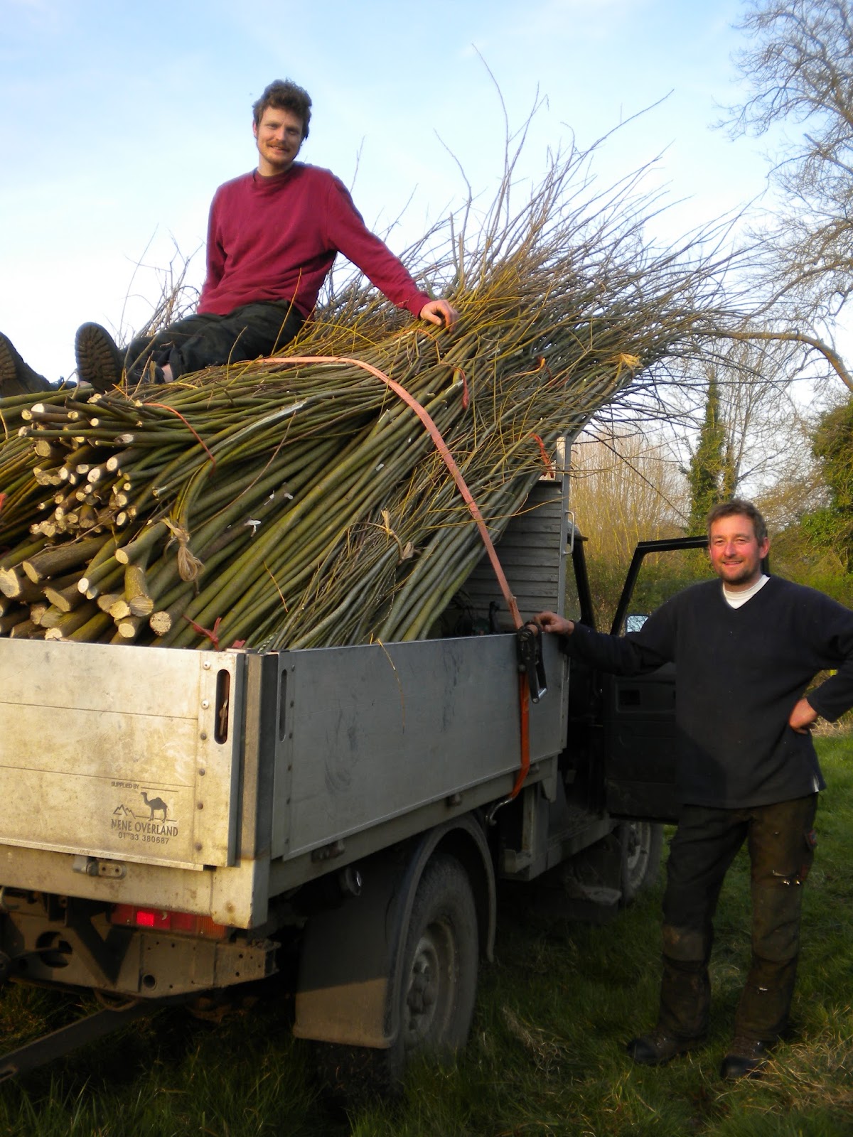 growing health by design willow weaving