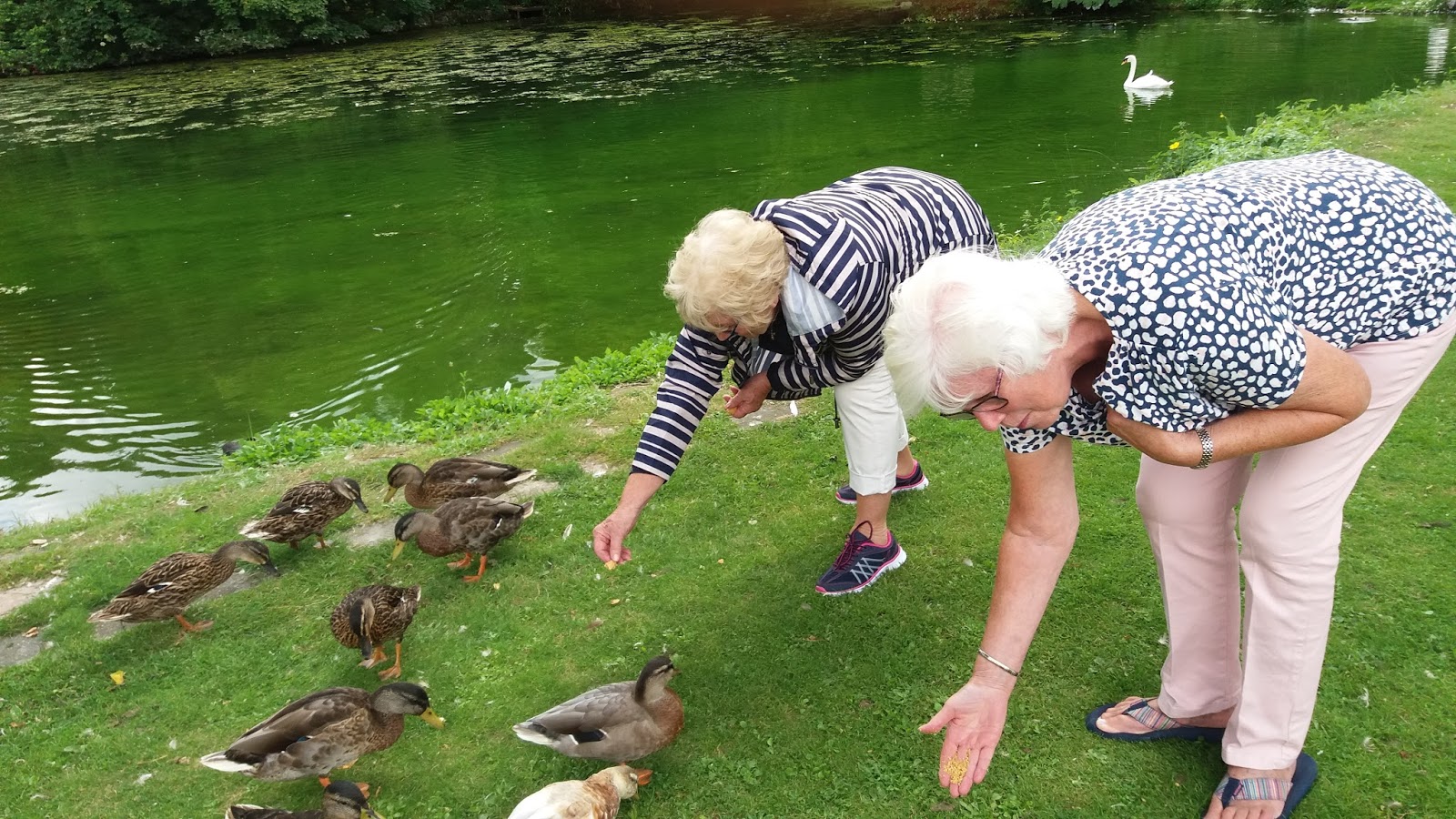 Hollingbourne WI Trout Farm Visit (Harrietsham)