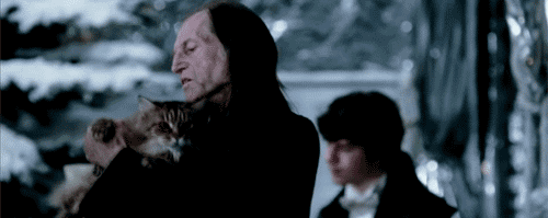 Argus Filch with Mrs Norris