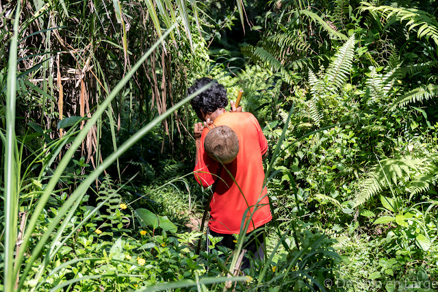 Ceking - Tegallalang - Ubud - Bali