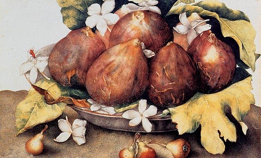 Healthy Food & Life: Why You Should Get Calcium from Non-Dairy Foods