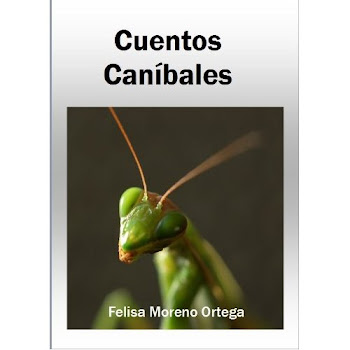 Un libro de Felisa Moreno