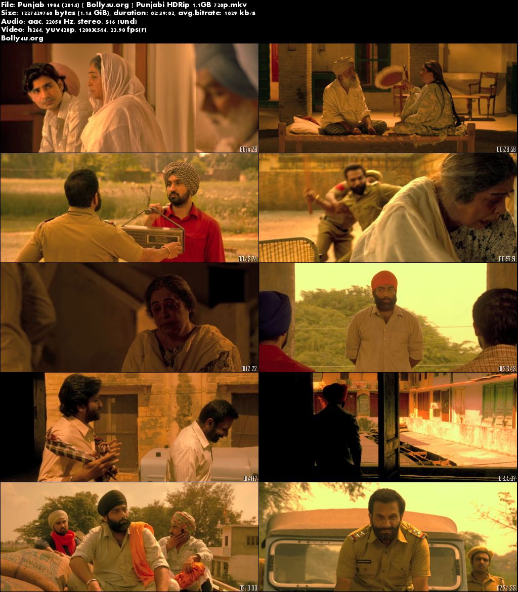 Punjab 1984 (2014) HDRip 480p Punjabi 450MB Download
