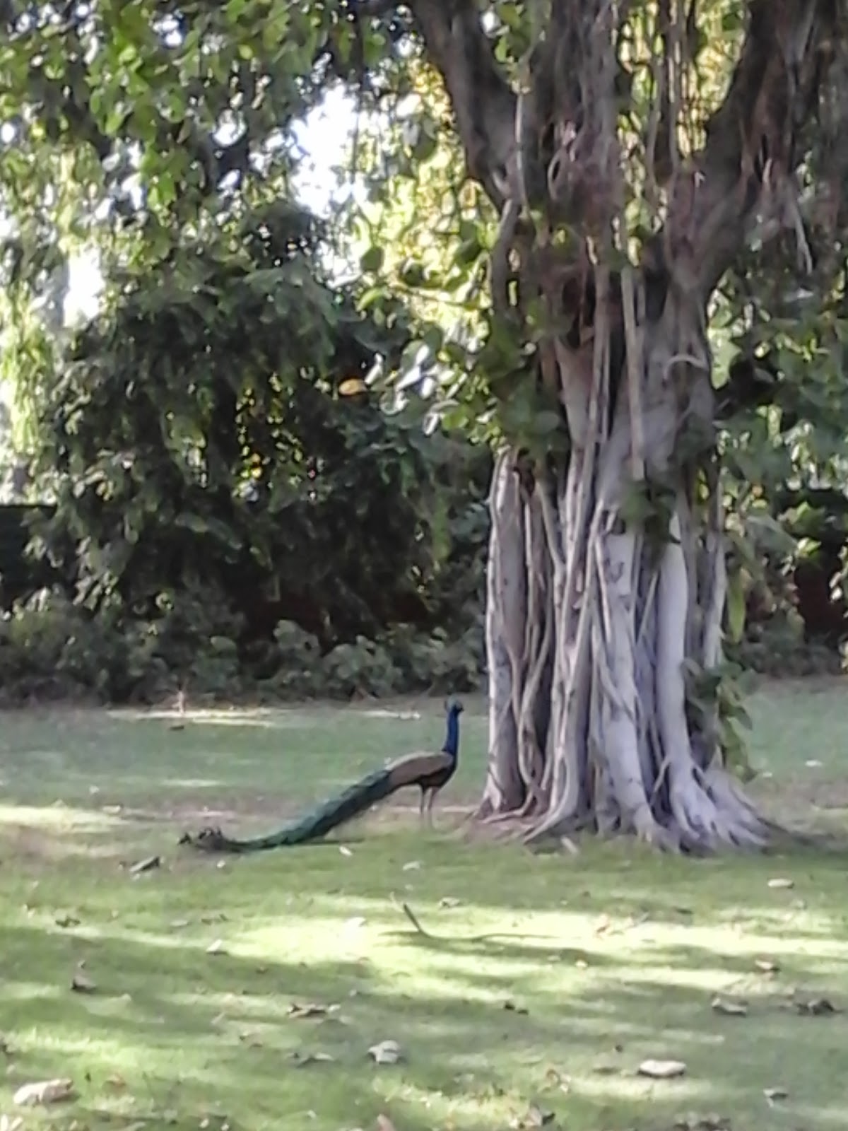 Indira Gandhi Memorial