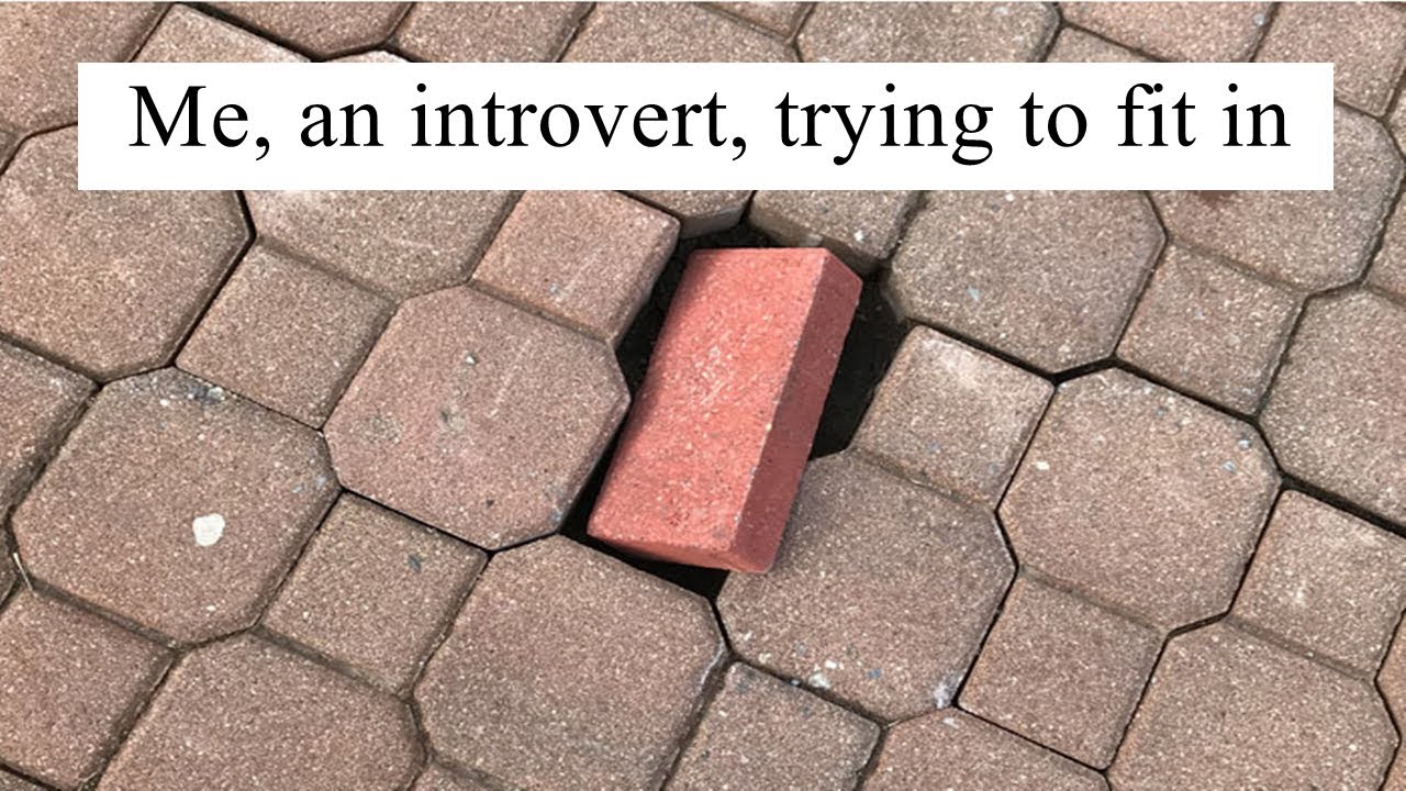 90 Introvert Memes That Will Speak Your Mind For You 2020