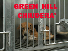 GREEN HILL CHIUDERA'