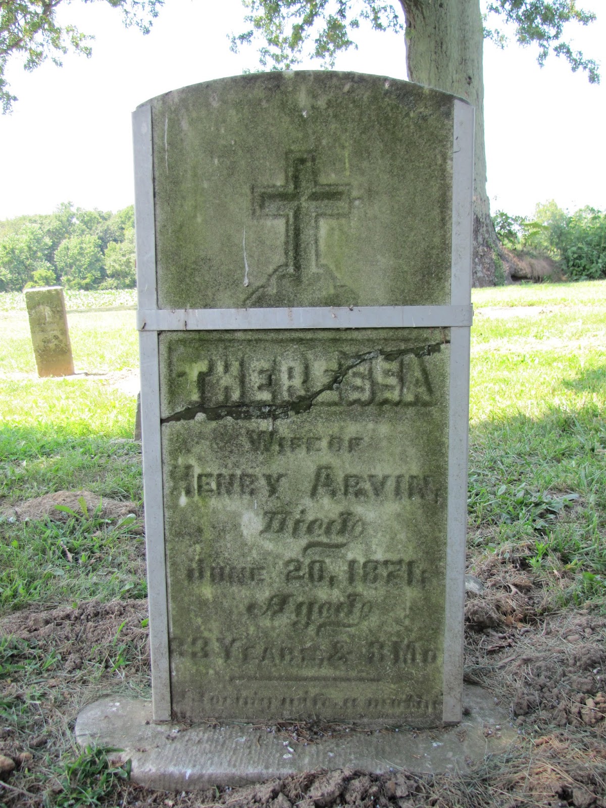 Trials and Tribulations of a Family Historian The family gardens of stone