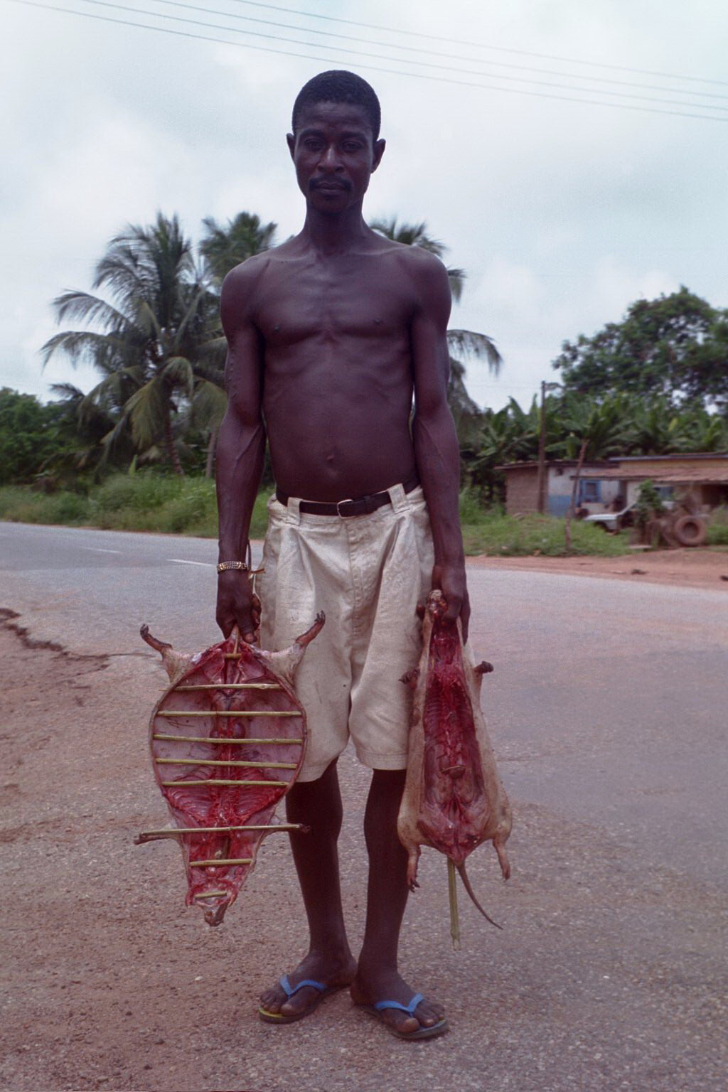 CSU in Ghana 2013 Home CSU! July 6, 2013