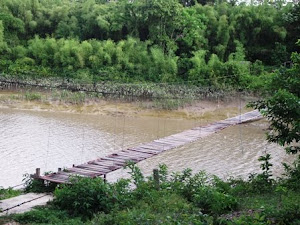 Ponte sobre o rio Cunani