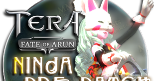 tera character slots tera character slots