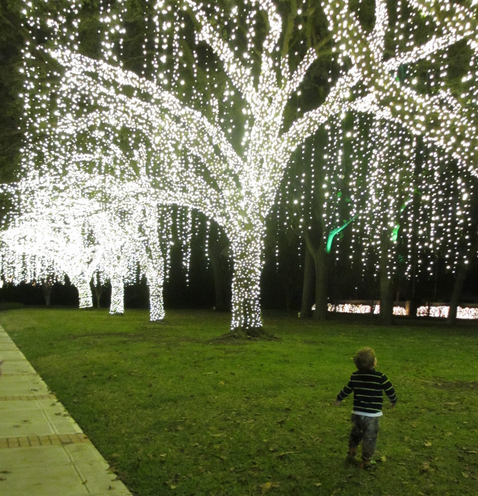 Jackson's Lane River Oaks Lights