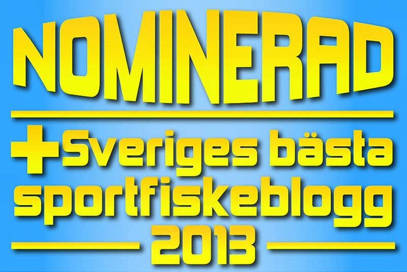 Vi är nominerade till Sveriges bästa fiskeblogg anno 2013