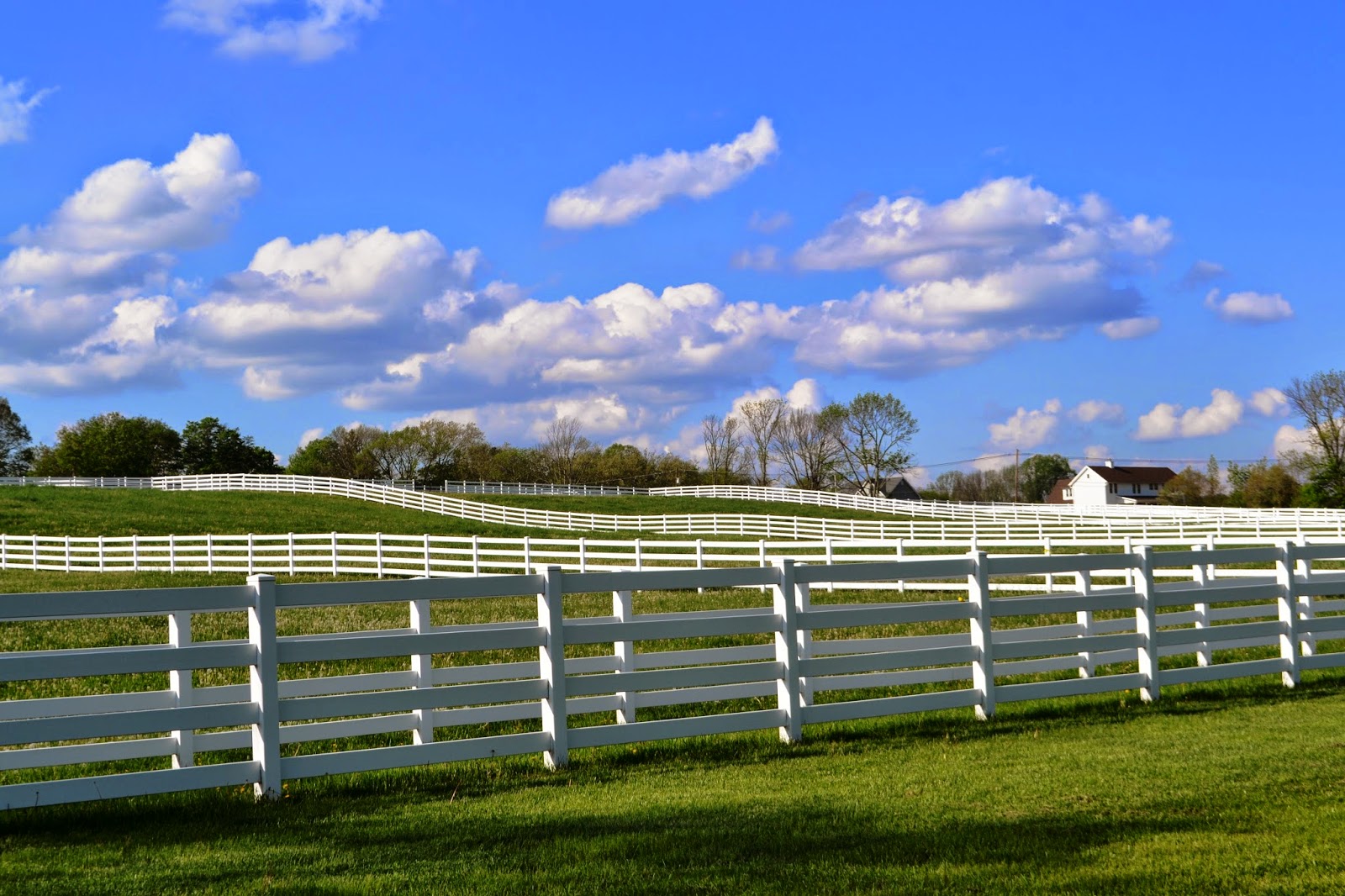 It's All About Purple Good Fences Edition 9