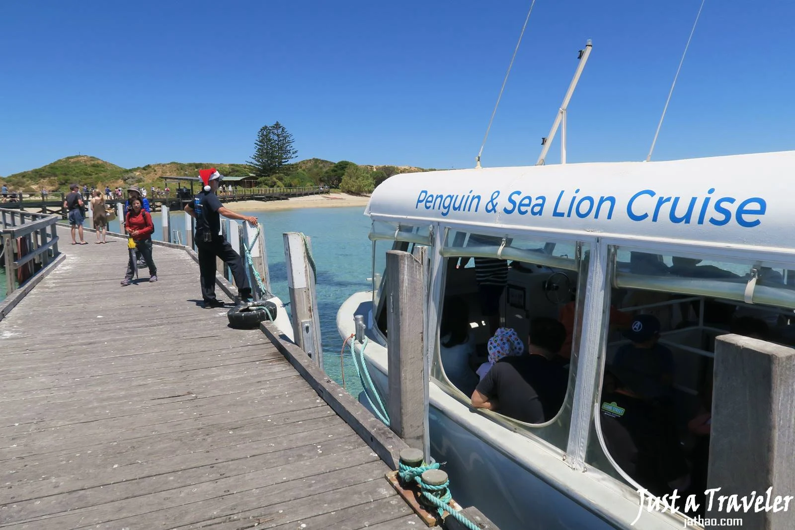 伯斯-景點-推薦-必玩-一日遊-企鵝島-Penguin-Island-遊記-旅遊-自由行-Perth