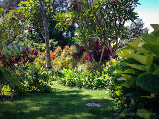 Morning Garden Walk In The Eco Park At Tangguwisia Village, North Bali, Indonesia