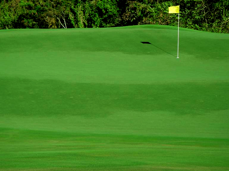 THE GOLFER'S TRIP Maintaining The Golf Greens, Going Against The Grain!