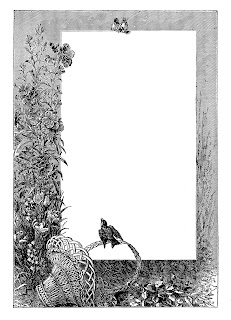 Digital Stamp Design: Free Printable Frame Digital Stamps: Nature and Wild Life Digital Frame