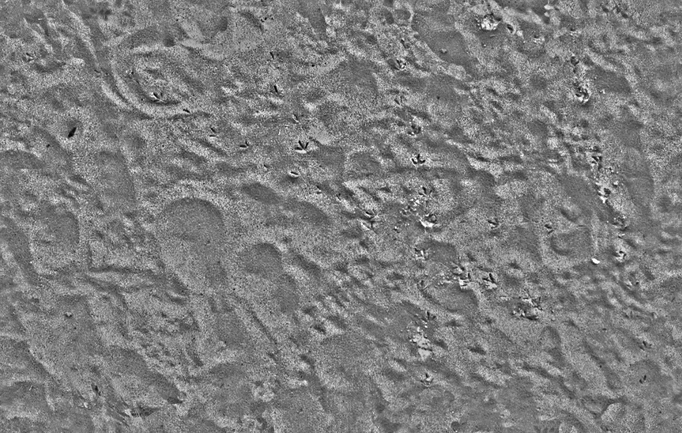 Emma Foster CGA&A: Technical Exercises: Maya beginning Pre Vis and ...