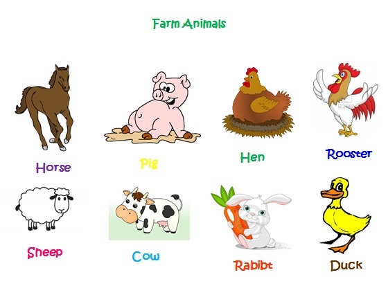 Name 5 pets. Животные на английском для детей. Домашние животные на английском. Домашние животные на английском для детей. Животные фермы на английском для детей.