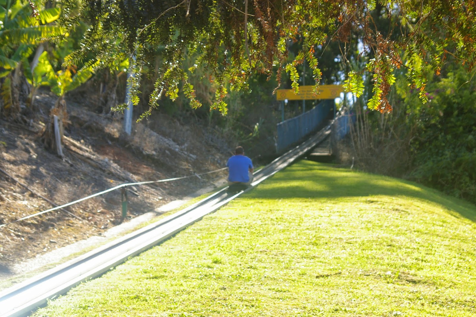 His and Her Hobbies His and Her Travel Review Toboggan Ride at the