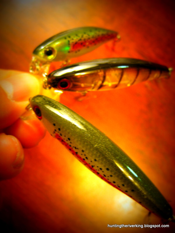 Hunting the River King: Dynamic Lures HD Trout Jerkbait Review