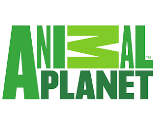 History of All Logos: All Animal Planet Logos