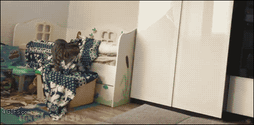 Funny cats - part 339, cat picture, cat gif, cute cats