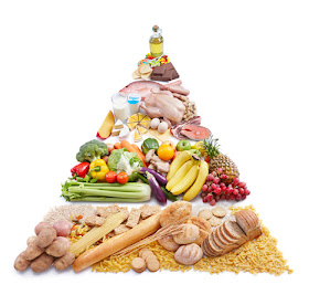 Senior nutrition pyramid