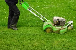 How To Mow Wet Grass