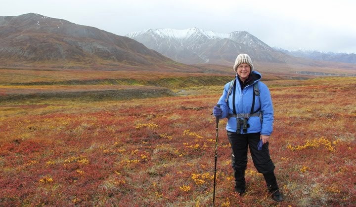 Discovery Hike in Denali National Park and Preserve, Alaska--2012