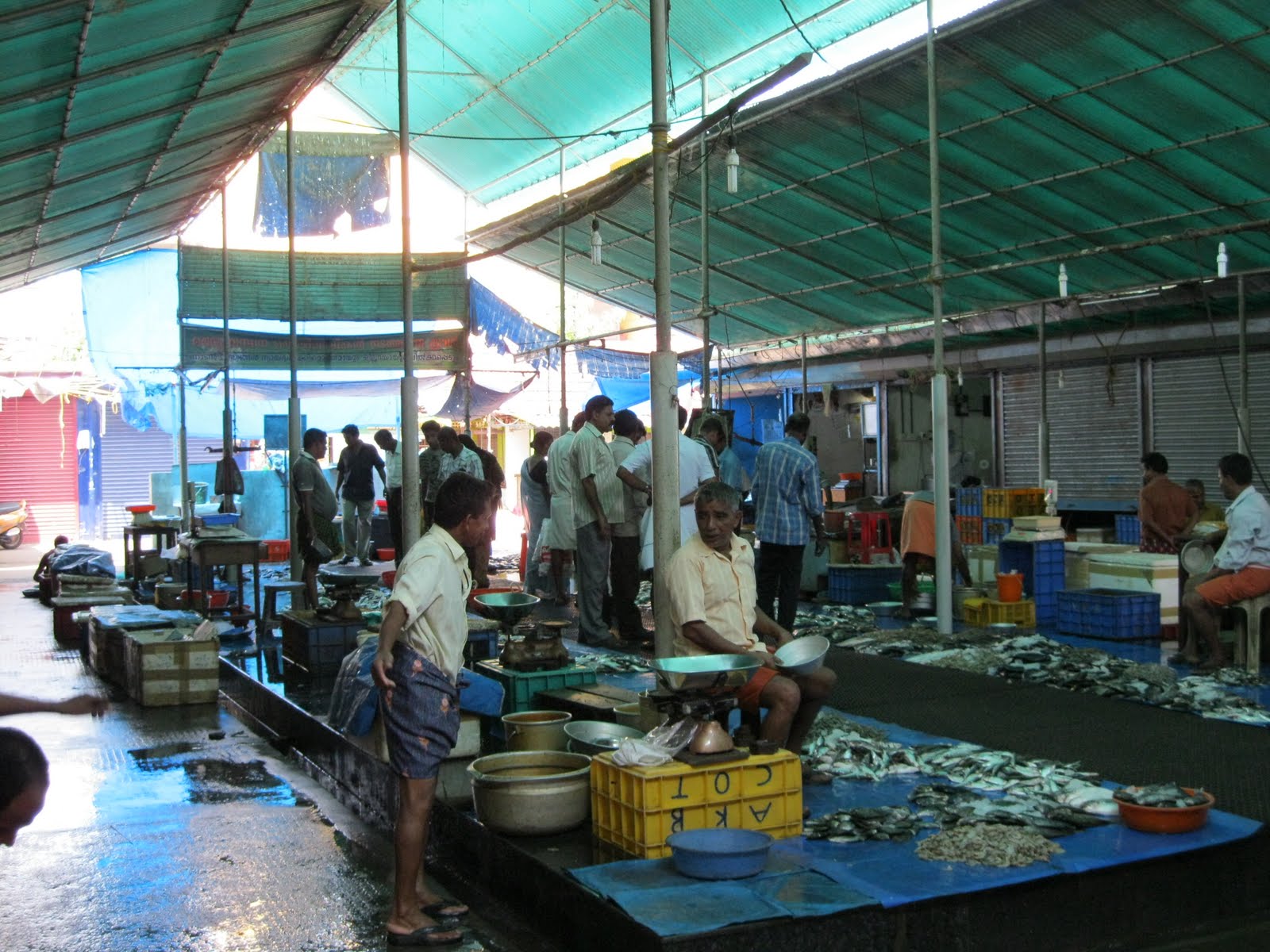 kerala2dolist 184 Visit Varapuzha market, and buy some fresh fish