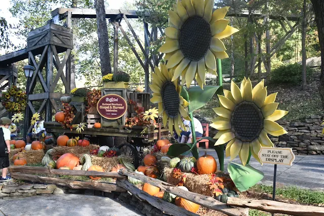 Dollywood Harvest Festival with My Whole Family  via  www.productreviewmom.com