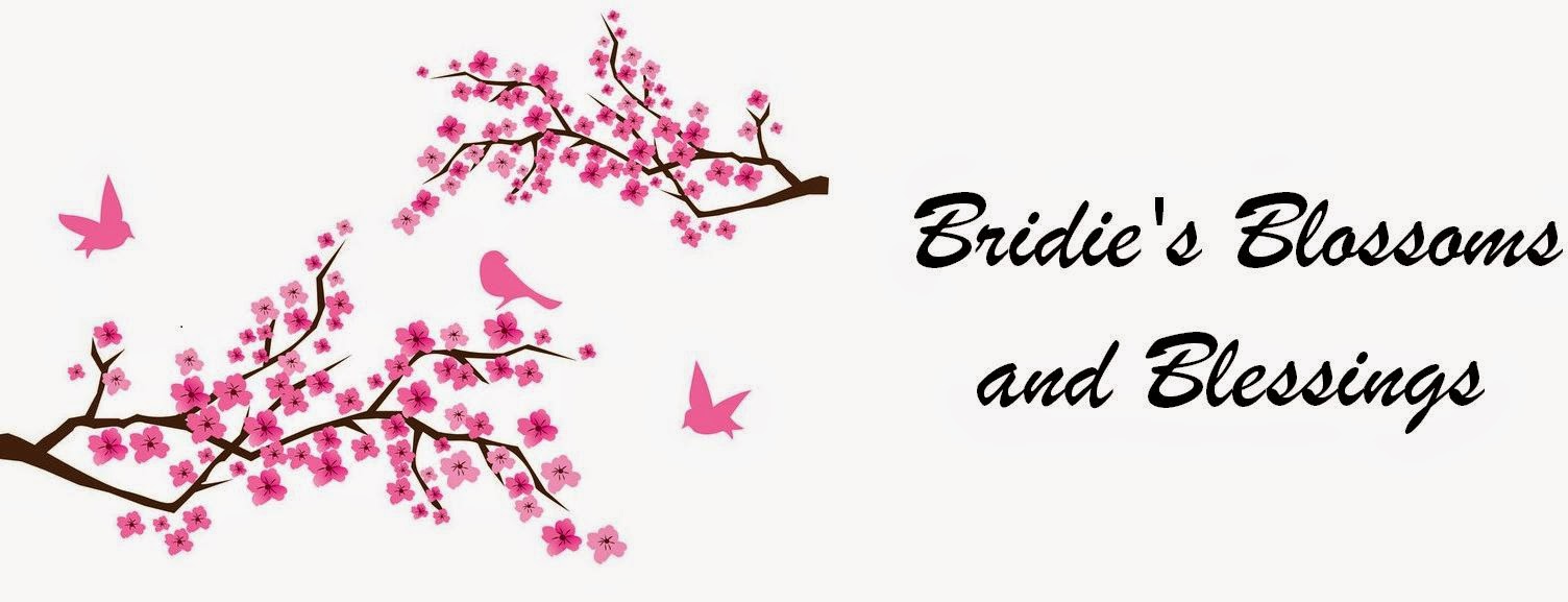 Bridie's Blossoms and Blessings Blog
