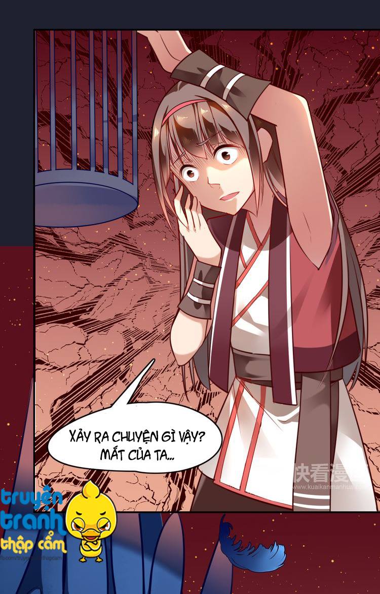 Cẩm Lý Quy Chap 1 - Next Chap 2