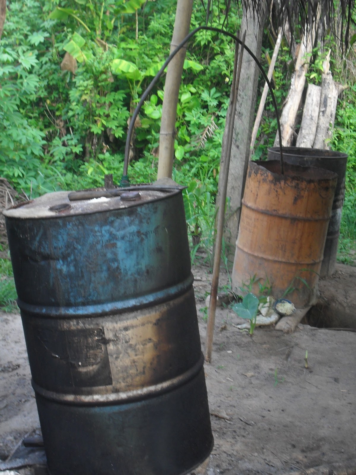 PALM WINE BREWERY AND LOCAL GIN DISTILLATION PICTURES OF TAPPING PALM WINE