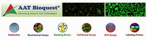 Fluorescent Reagents and reagent group 螢光相關試劑與試劑組