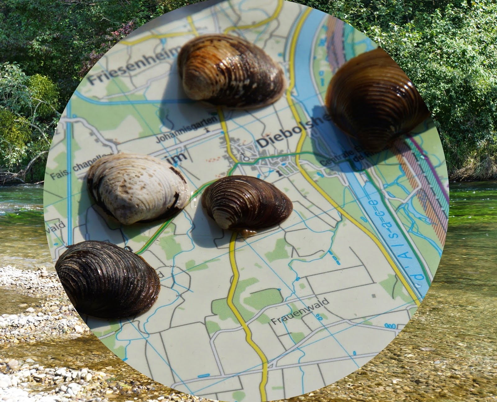 Wetter Europa Park Rust Sonntag لم يسبق له مثيل الصور Tier3 Xyz