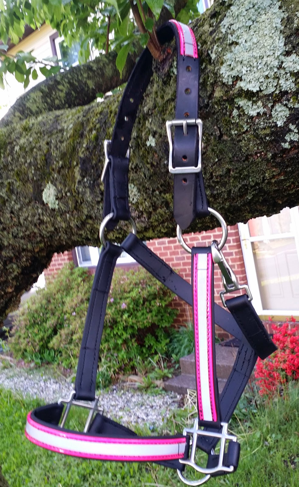 Behind the Bit Two Horse Tack Memorial Day Discount