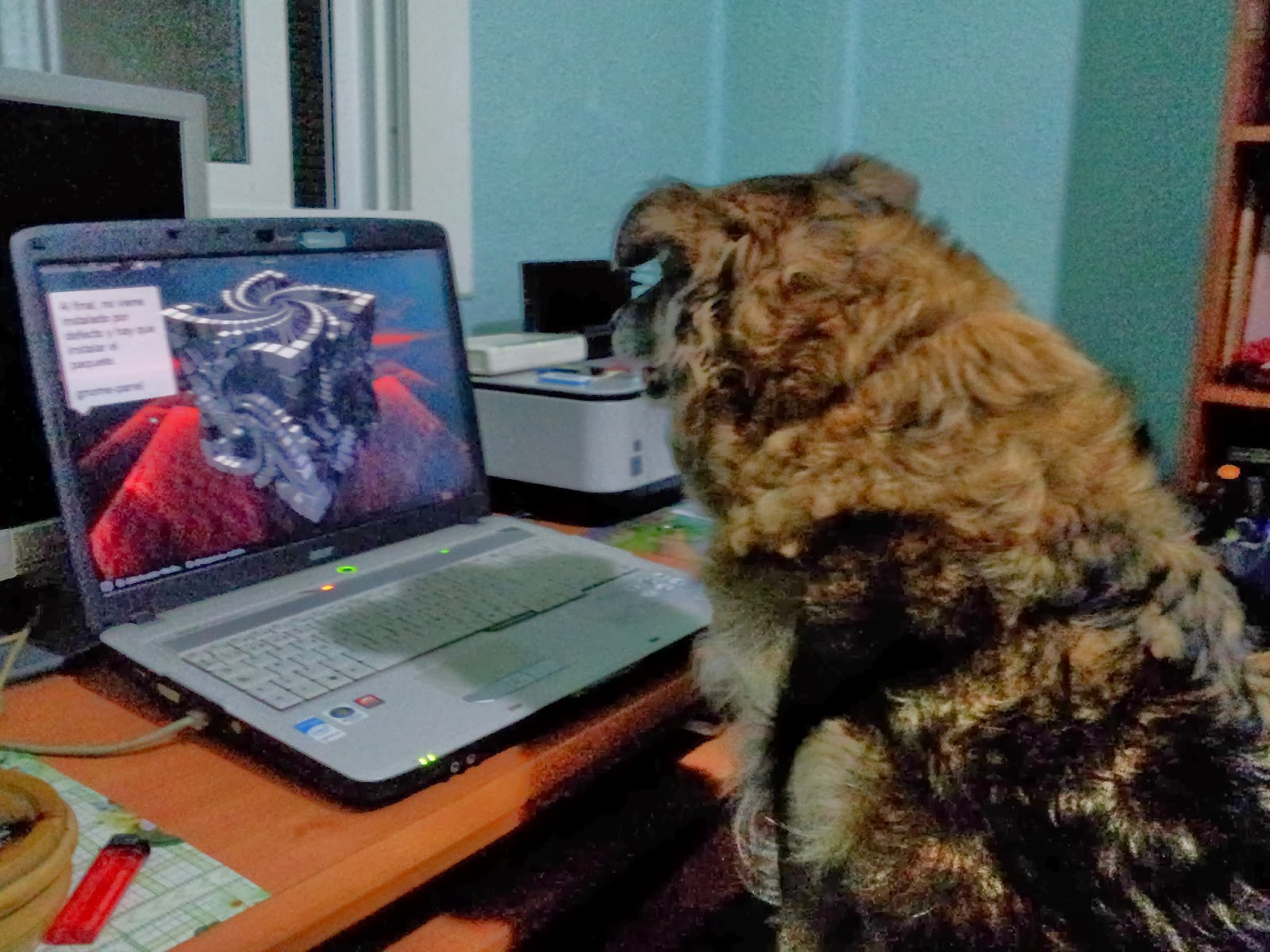 Viendo videotutoriales de Ubuntu Viendo videotutoriales de Ubuntu