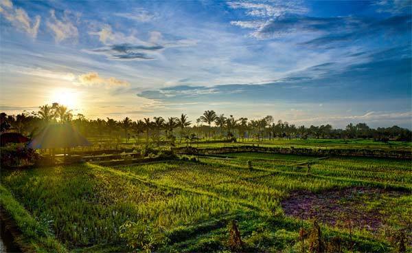 Wajib Coba! Inilah Rekomendasi Tempat Wisata Terbaik di Indonesia