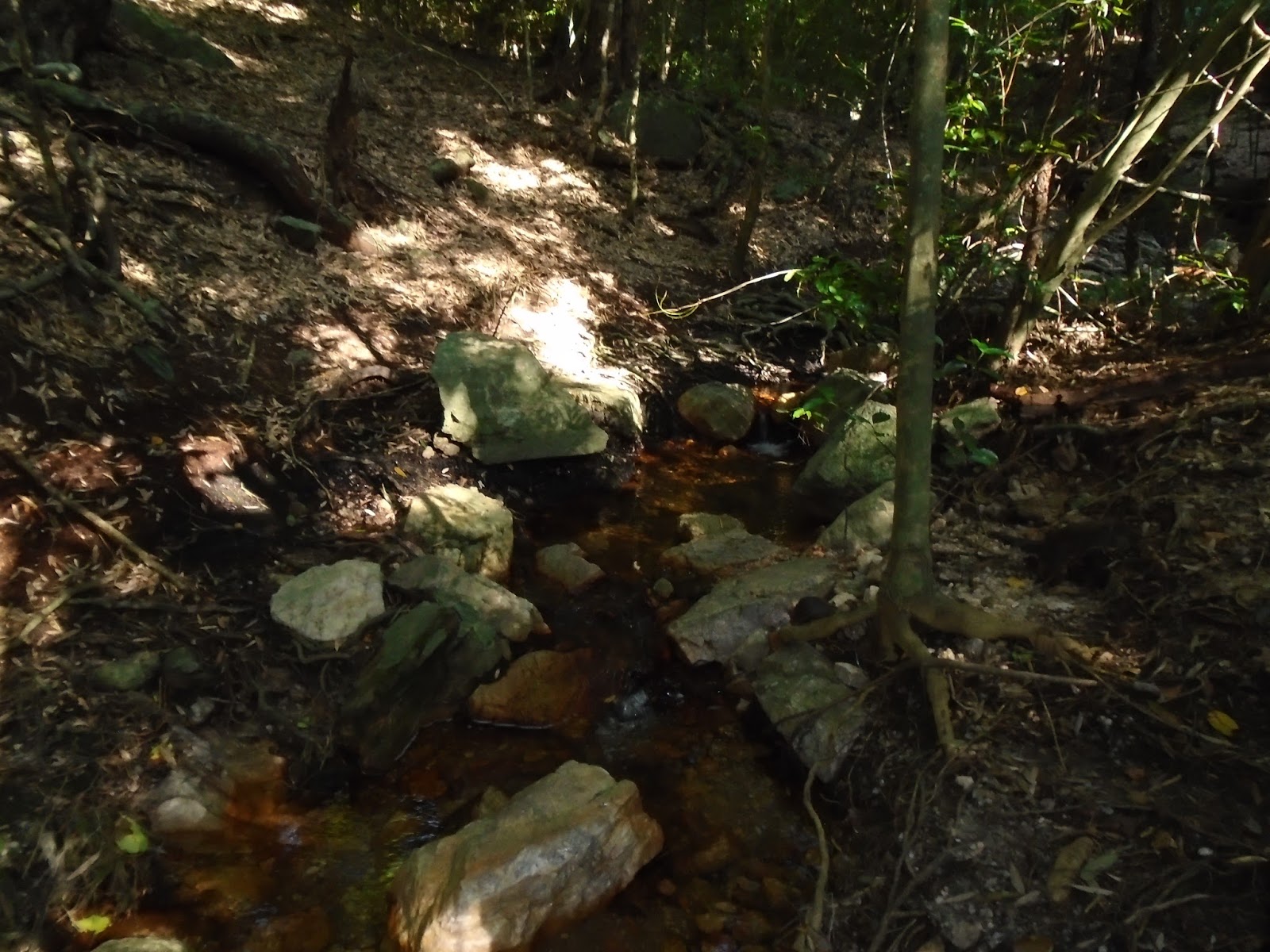 DSC00412.JPG