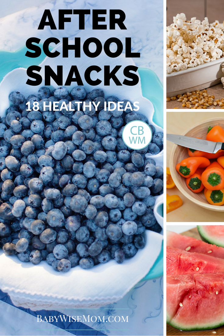 18 Healthy After School Snack Ideas Chronicles of a Babywise Mom