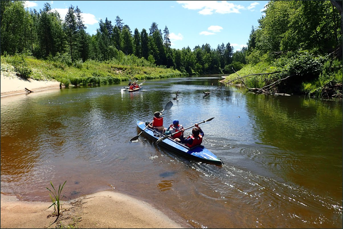 Большая кокшага река