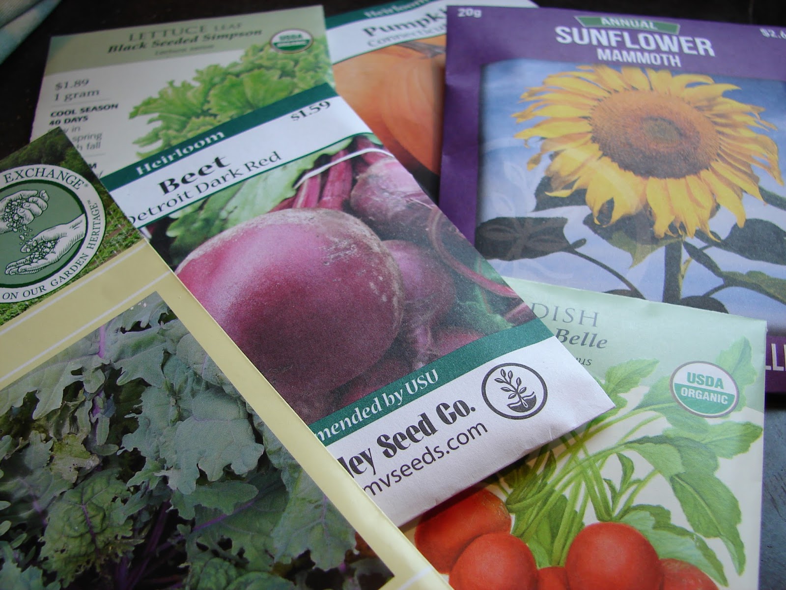 New Utah Gardener When Can I Plant Seeds In The Garden In Utah? Get To