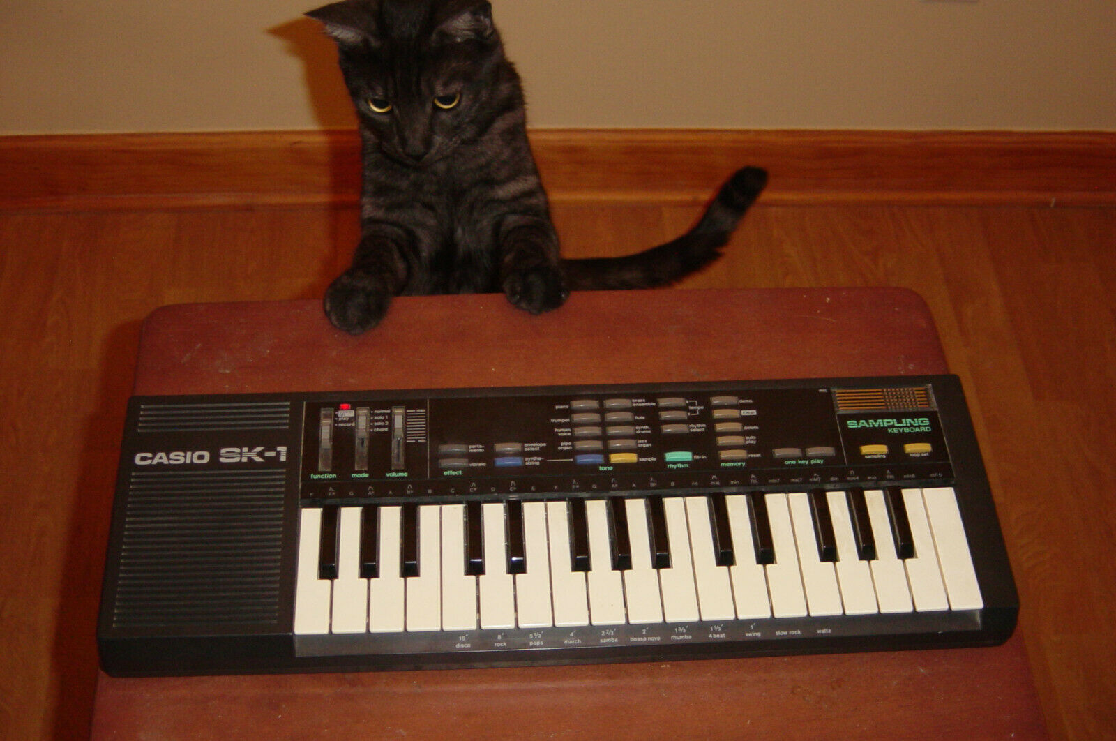 MATRIXSYNTH Vintage 80'S CASIO SK1 32 Key Sampling Keyboard Synthesizer