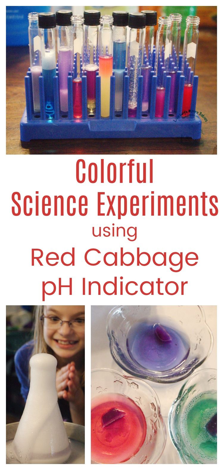 Simple and Colorful Science with Acids, Bases, and Red Cabbage Life with Moore Babies