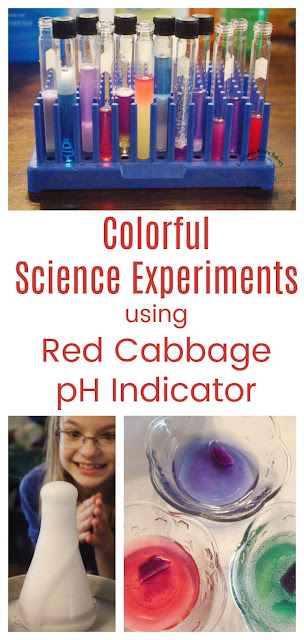 Simple and Colorful Science with Acids, Bases, and Red Cabbage
