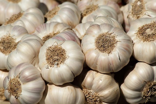 Manfaat Bawang Putih Selain untuk Pelengkap Bumbu Masakan Manfaat Bawang Putih Selain untuk Pelengkap Bumbu Masakan