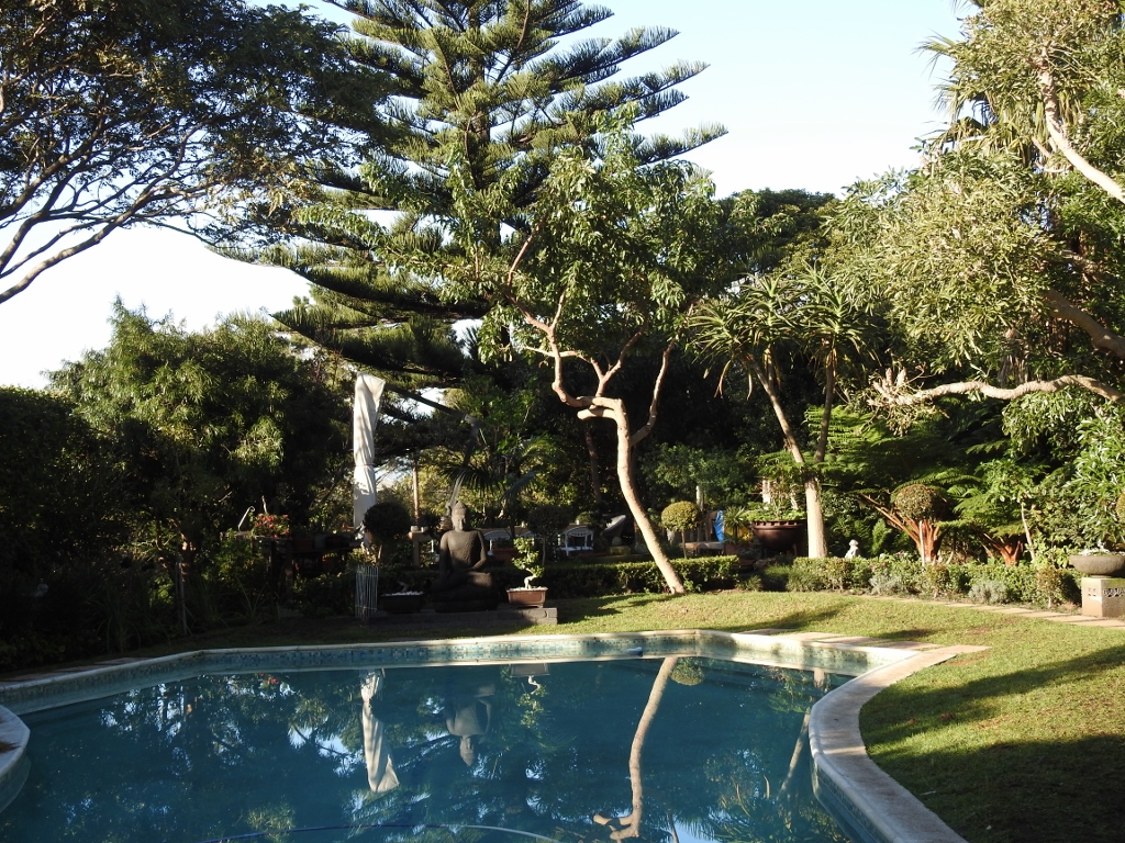 Fynbos Gardens Hermanus Mountain Drive Northcliff Hermanus.